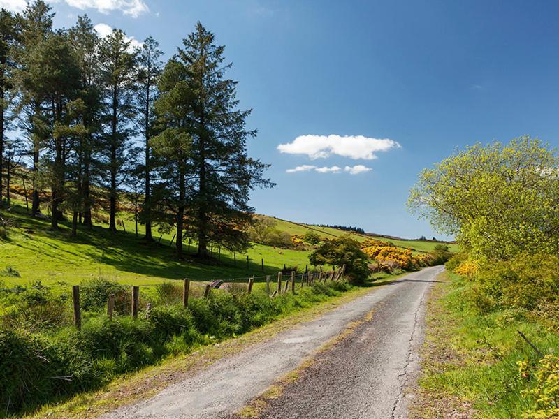 Curradoon House Villa Ballynamult Екстериор снимка