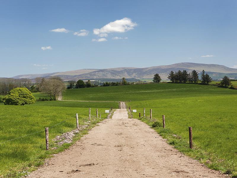 Curradoon House Villa Ballynamult Екстериор снимка